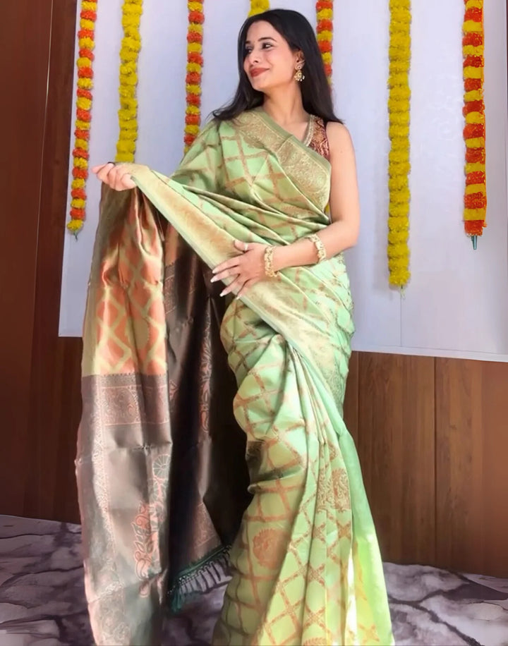 PANNUS Beige & Wine Trellis Saree
